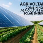 Agrivoltaics Combining Agriculture and Solar Energy